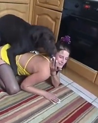 Zuskool Com - Animal porn Photo Album - ZooSkool Videos - Bestiality sex