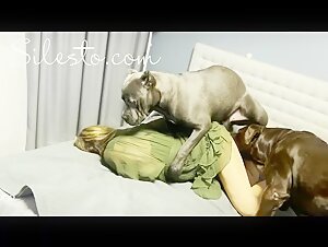 Zooskoolporn - Veronica Silesto Dog Porn - ZooSkool Videos - Bestiality sex